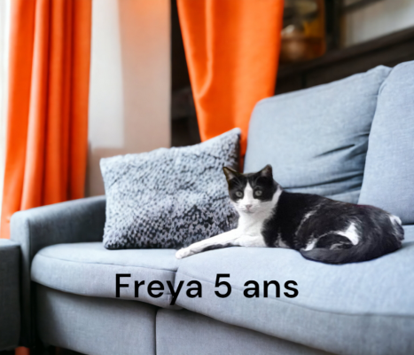 Freyja