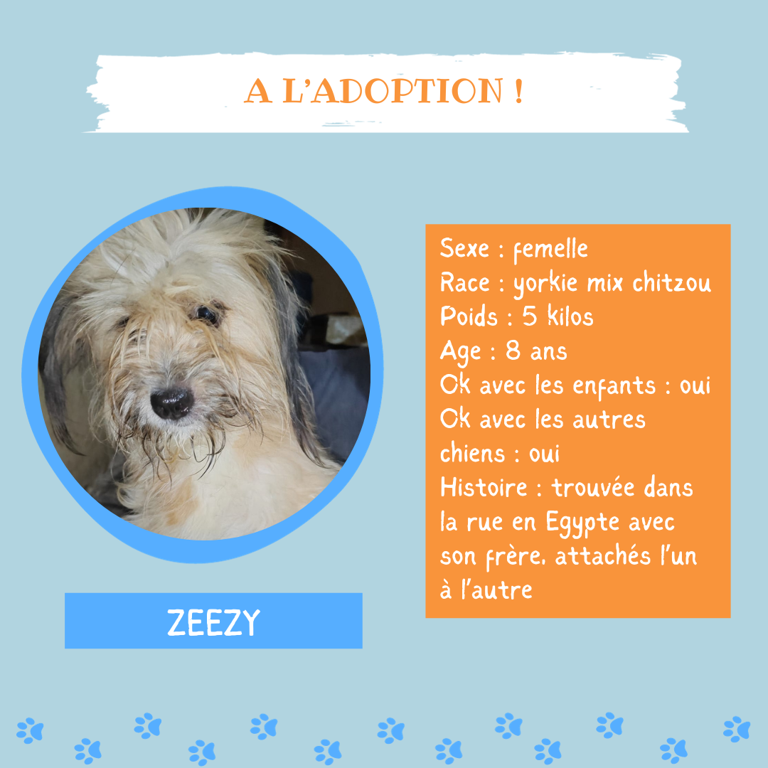 Zeezy
